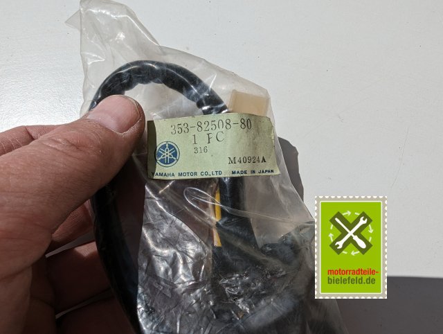 PXL_20240523_112650159